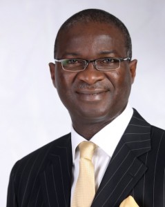 Lagos State Governor Babatunde Fashola (SAN)