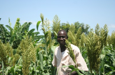 Africa's growth - agriculture