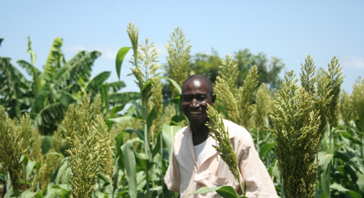 Africa's growth - agriculture